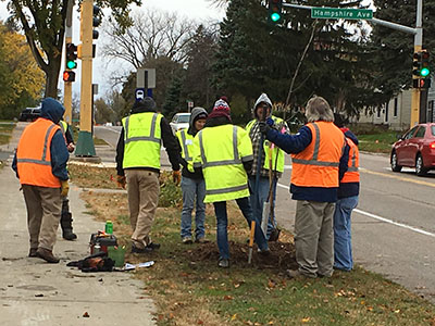 Minnetonka Blvd Tree Planting