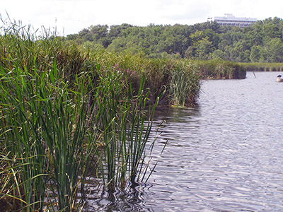 Westwood Hills Nature Center Lake