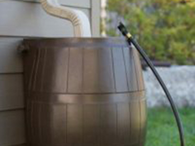 Rain Barrel