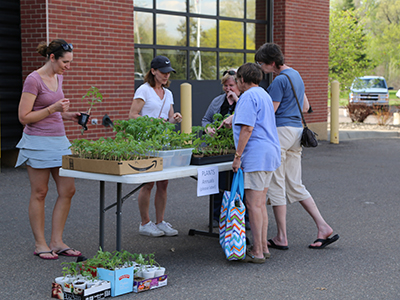 2018 Gardener's Swap exchanging plans