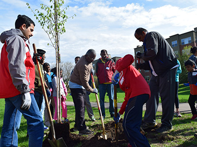 community-tree-planting-may-2018