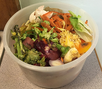 organics recycling example plastic container with food in it