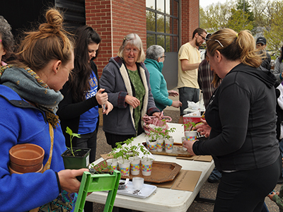 gardeners swap 2019 people looking at different plants