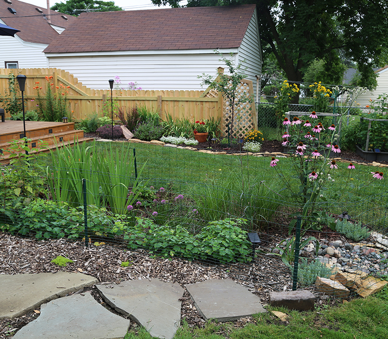 rain garden