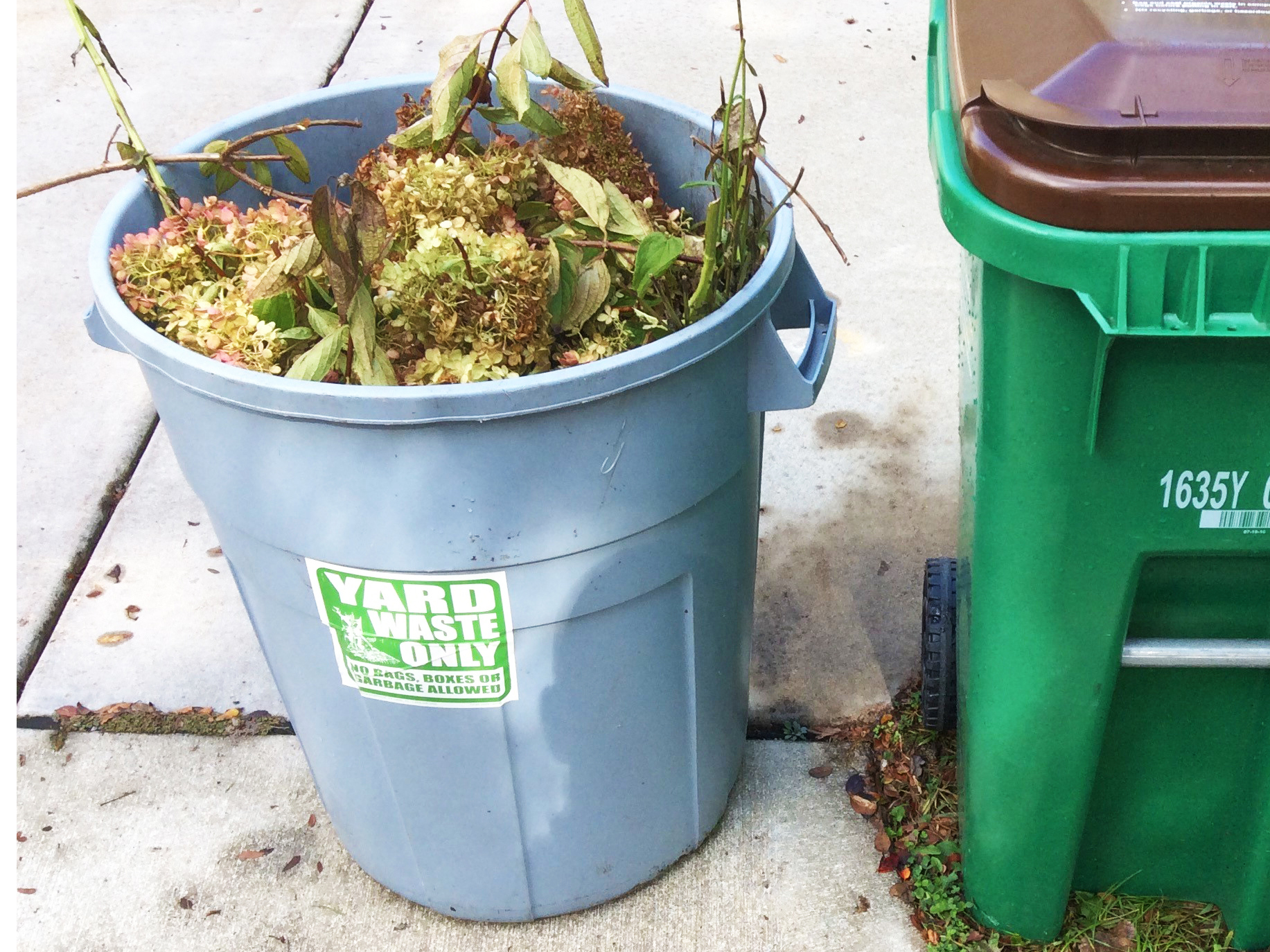 yard waste collection bin