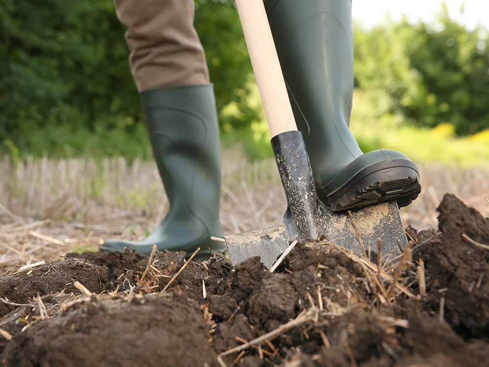 shovel digging