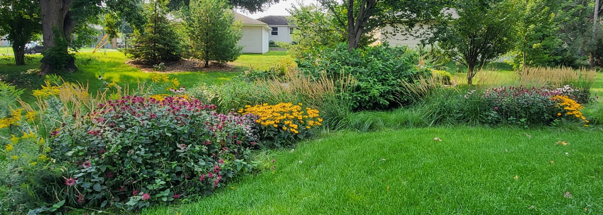 rain garden